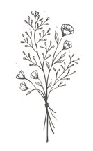 FLEURDERIJ - veldbloemen -